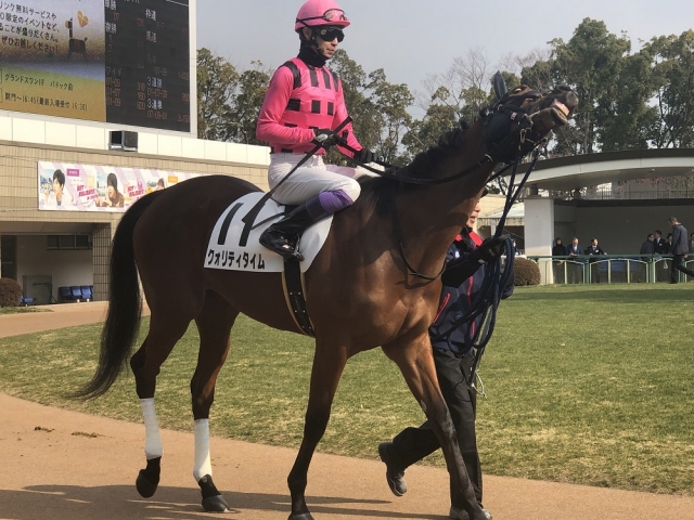 未勝利戦パドック クォリティタイム