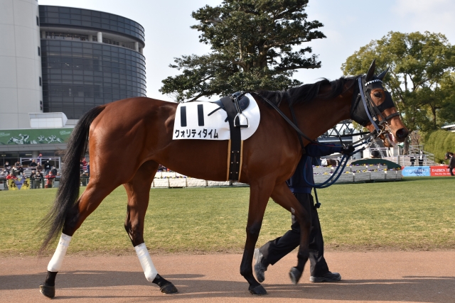 2020.02.08　京都　ﾀﾞ1800 クォリティタイム