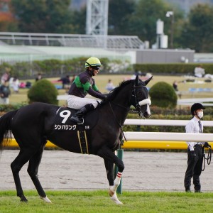 2022/11/13 ユートピアS(3勝クラス)