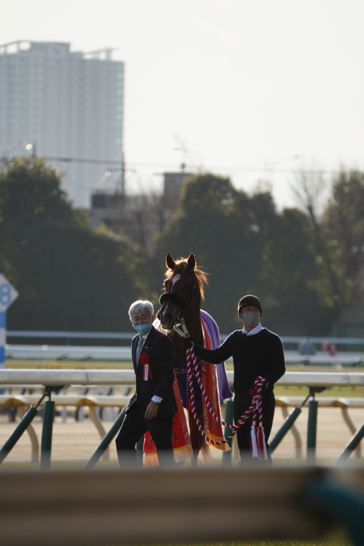 2023/2/5 東京新聞杯(G3) ウインカーネリアン