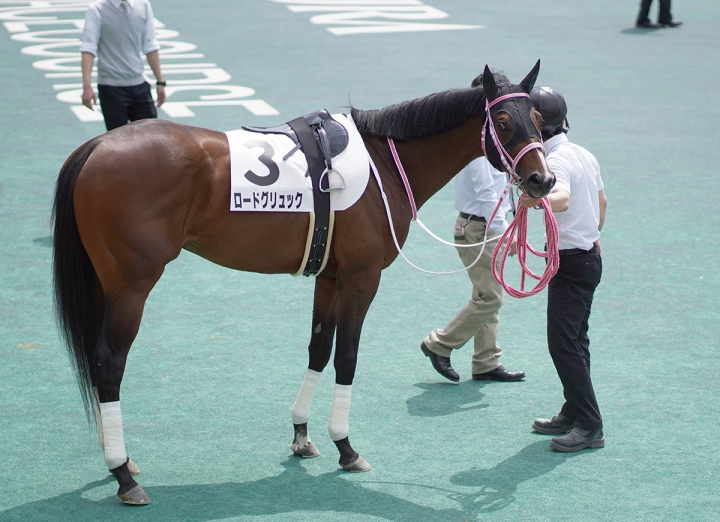 2021/5/9 4歳以上1勝クラス ロードグリュック