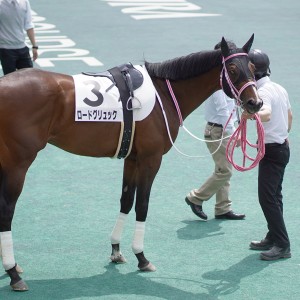 2021/5/9 4歳以上1勝クラス