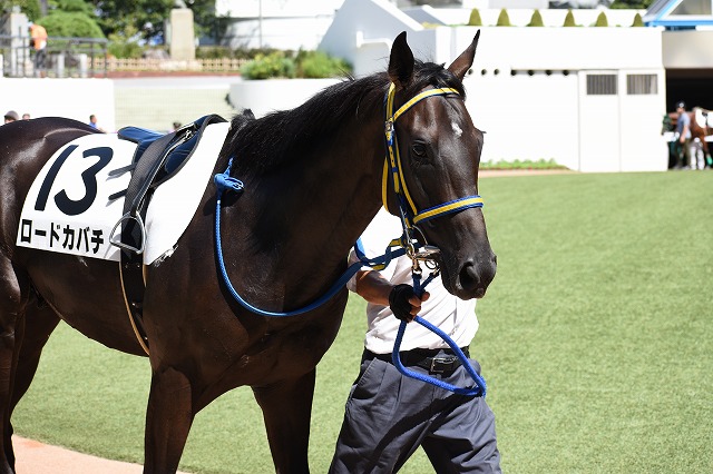 パドック① ロードカバチ