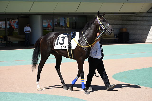 パドック① ロードカバチ