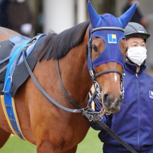 2022/1/10 迎春S(3勝クラス)