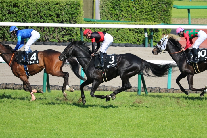 2023/4/9 鹿野山特別(2勝クラス) アルディエンテ
