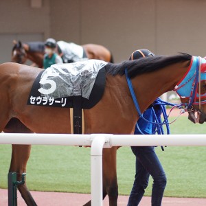 2021/6/27 舞子特別(2勝クラス)