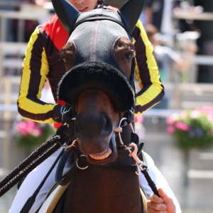 2022/5/29 4歳以上2勝クラス