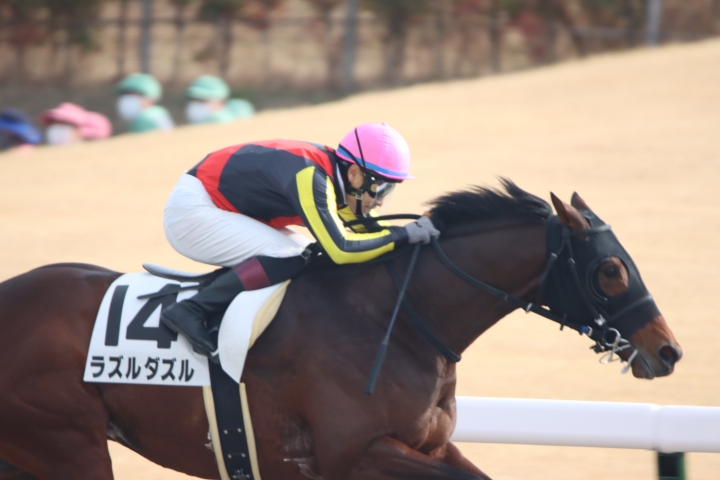 2022年1月 ラズルダズル