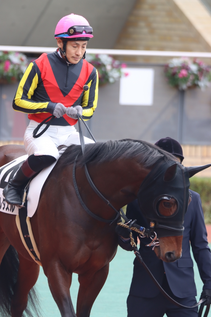 2022/1/9 4歳以上1勝クラス ラズルダズル