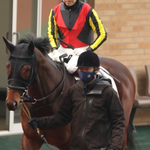 2022/2/6 4歳以上2勝クラス