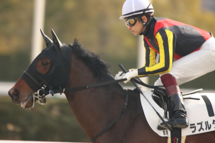 2022年2月 ラズルダズル