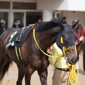 2022/3/13 房総特別(2勝クラス)