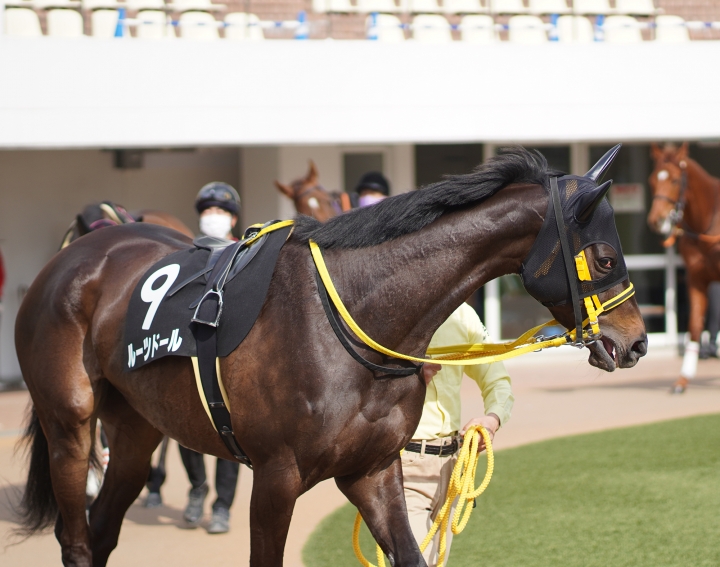 2022/3/13 房総特別(2勝クラス) ルーツドール