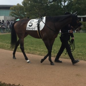 京都競馬場にて