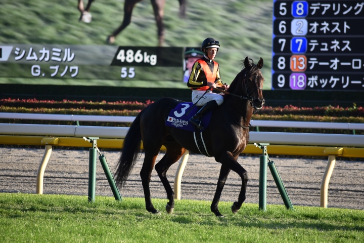2022年11月 ヴェルトライゼンデ