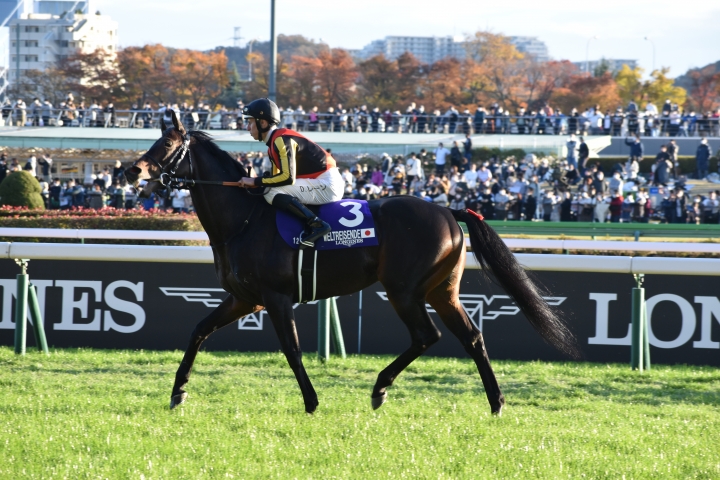 2022年11月 ヴェルトライゼンデ