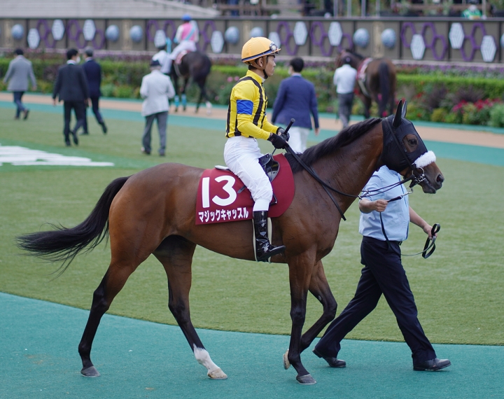 2021/10/16 アイルランドT府中(G2) マジックキャッスル