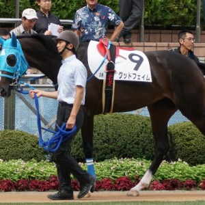 メイクデビューパドック③