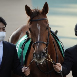2023/2/5 東京新聞杯(G3)