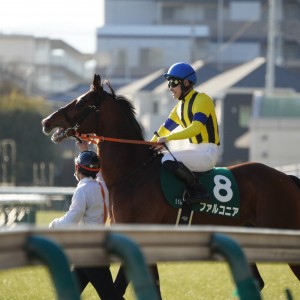 2023/2/5 東京新聞杯(G3)