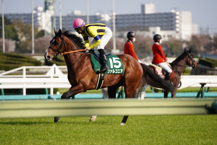 2023/4/1 ダービー卿CT(G3) ファルコニア
