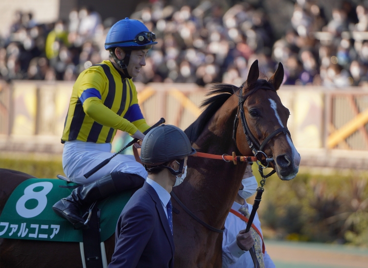 2023/2/5 東京新聞杯(G3) ファルコニア