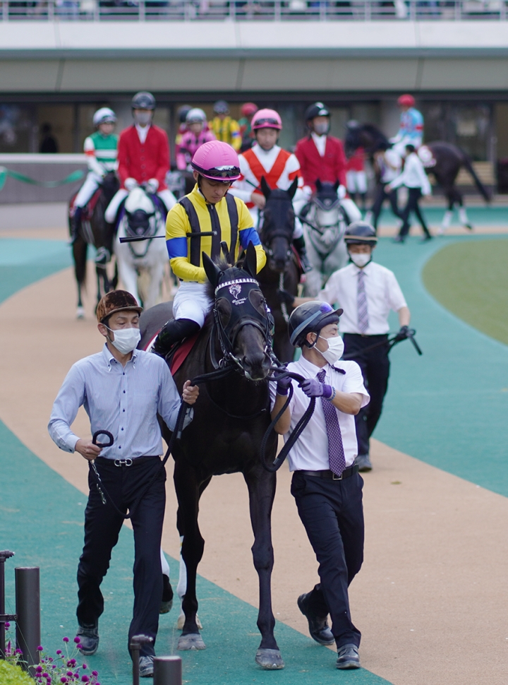 2021/10/16 アイルランドT府中(G2) デゼル