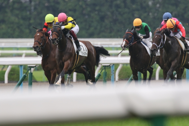 レース写真 リリーピュアハート