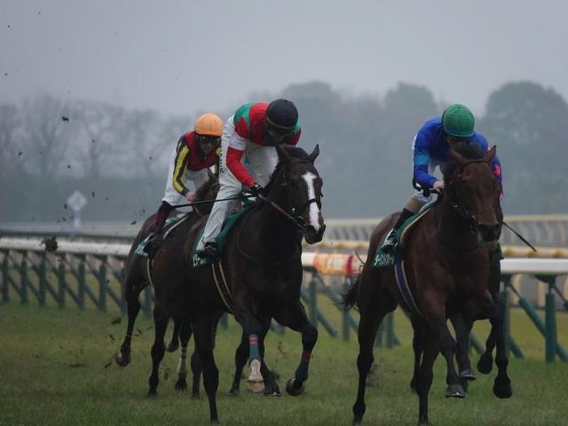 ゴール前 ビターエンダー