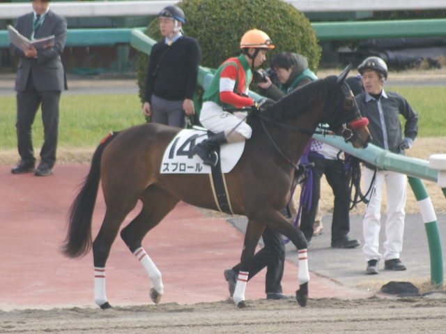 新馬戦本馬場入場 スプロール
