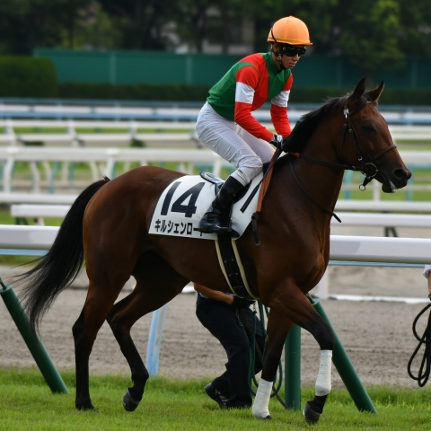 馬場入場 キルシェンロート