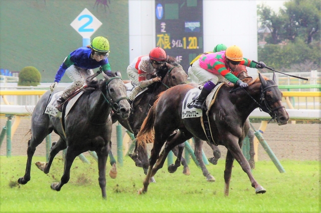 スノージュエリー スノージュエリー