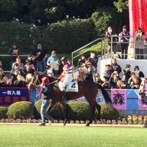 いよいよ緊張感高まってるねー　メルヴェイユシチー　頑張れ！！