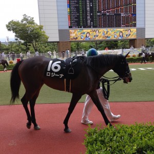 2022/9/3 テレQ杯(3勝クラス)