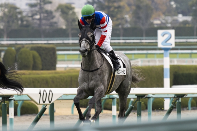 メイクデビュー阪神 マリアネージュ