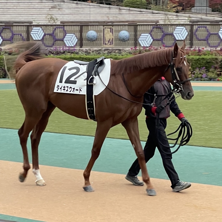 2021年11月 タイキスウォード