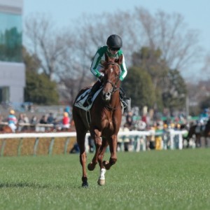 タイキスウォード