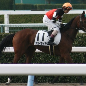 未勝利戦返し馬