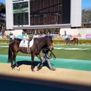 新馬