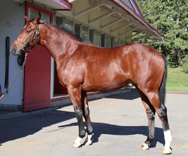 １歳１０月時 ゼノヴァース