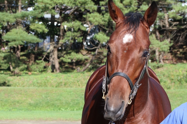 １歳１０月時 ゼノヴァース