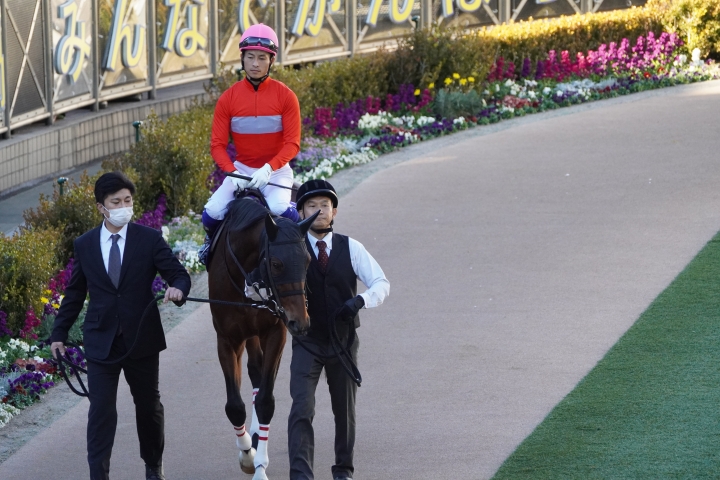 2022/12/24 中山大障害(JG1) ゼノヴァース