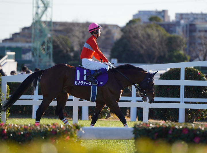 2022/12/24 中山大障害(JG1) ゼノヴァース