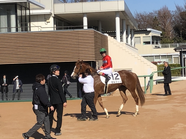 走り終えたセルフィー セルフィー