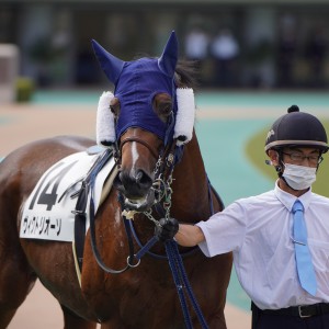 2022/10/16 3歳以上2勝クラス