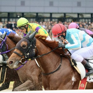 2023/11/26 東京 3歳以上1勝クラス