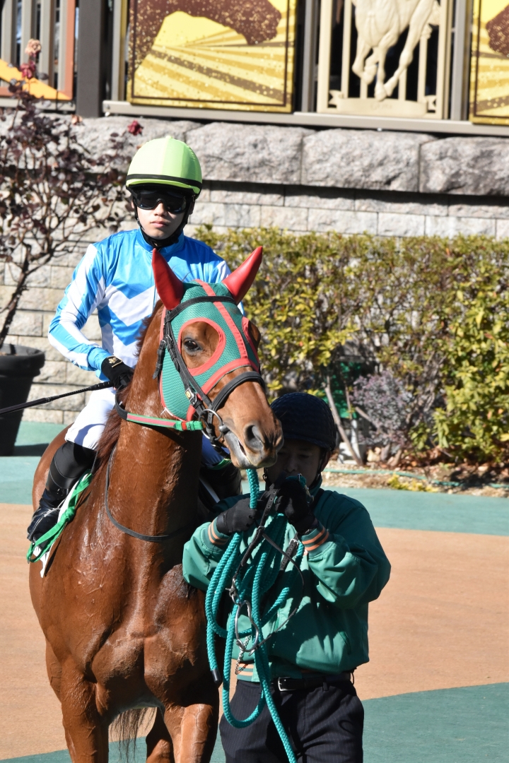 2023/1/28 4歳以上1勝クラス レイデルマール