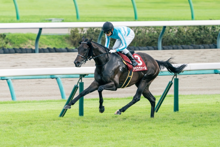 2024/9/22 オールカマー(G2) アウスヴァール