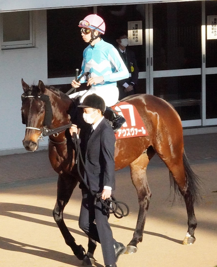 2025/1/26 アメリカJCC(G2) アウスヴァール